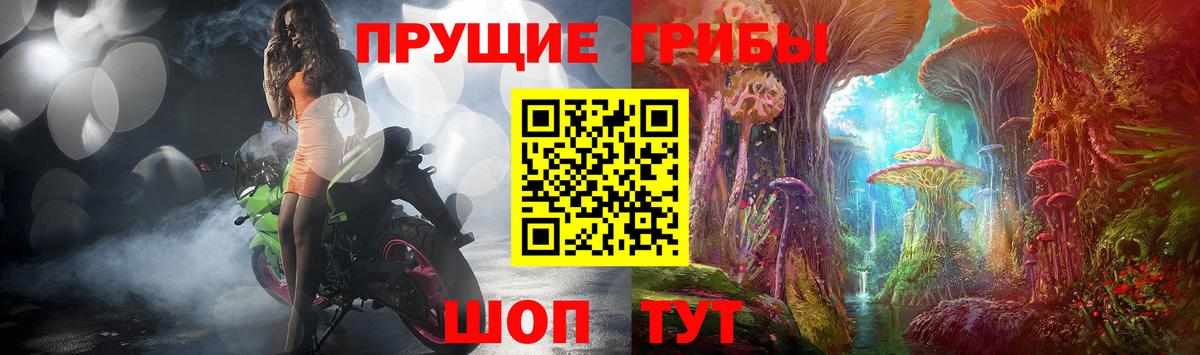 Галлюциногенные грибы Psilocybe Серов