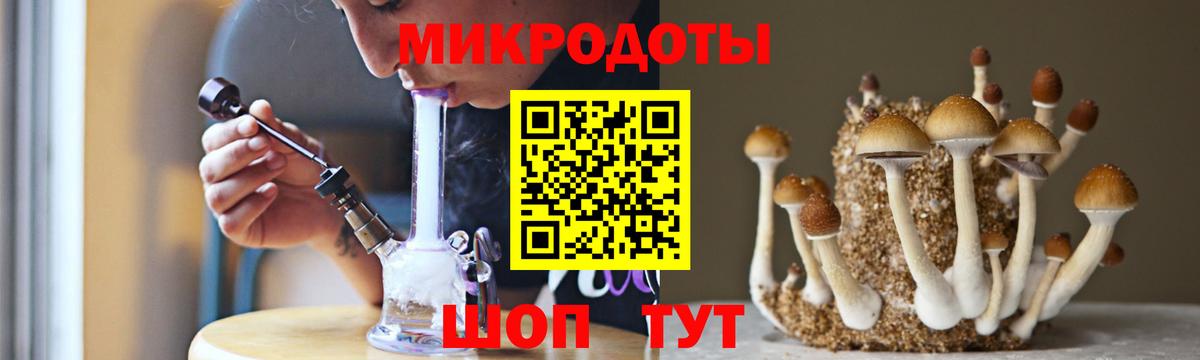 Серов  Псилоцибиновые грибы прущие грибы  Вход с VPN 